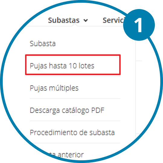 Imagen primer paso para realizar una puja hasta diez lotes.